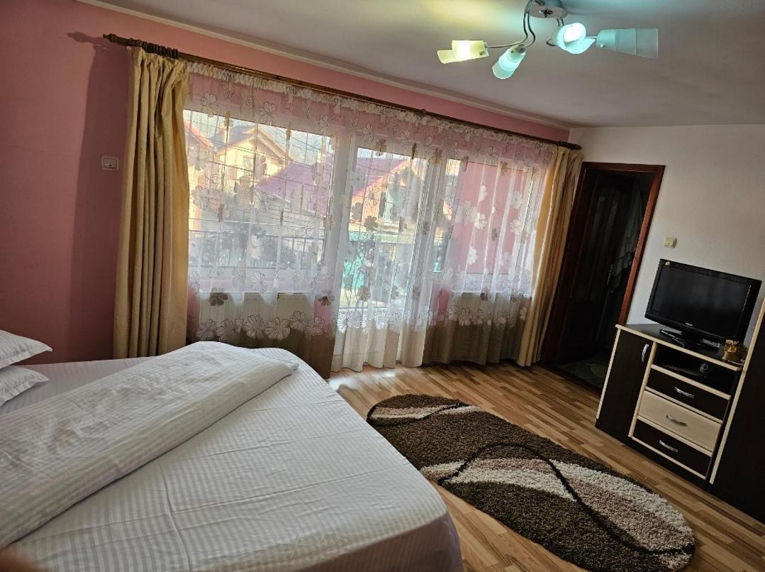 Vila Vladut เซอร์เนช ภายนอก รูปภาพ