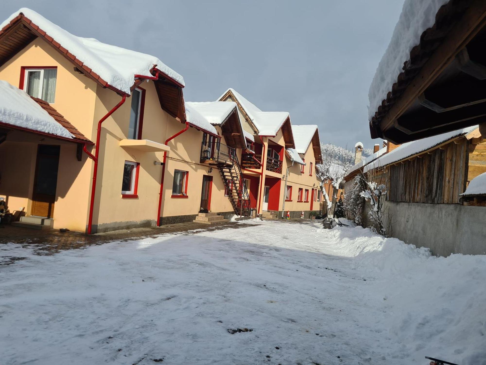 Vila Vladut เซอร์เนช ภายนอก รูปภาพ
