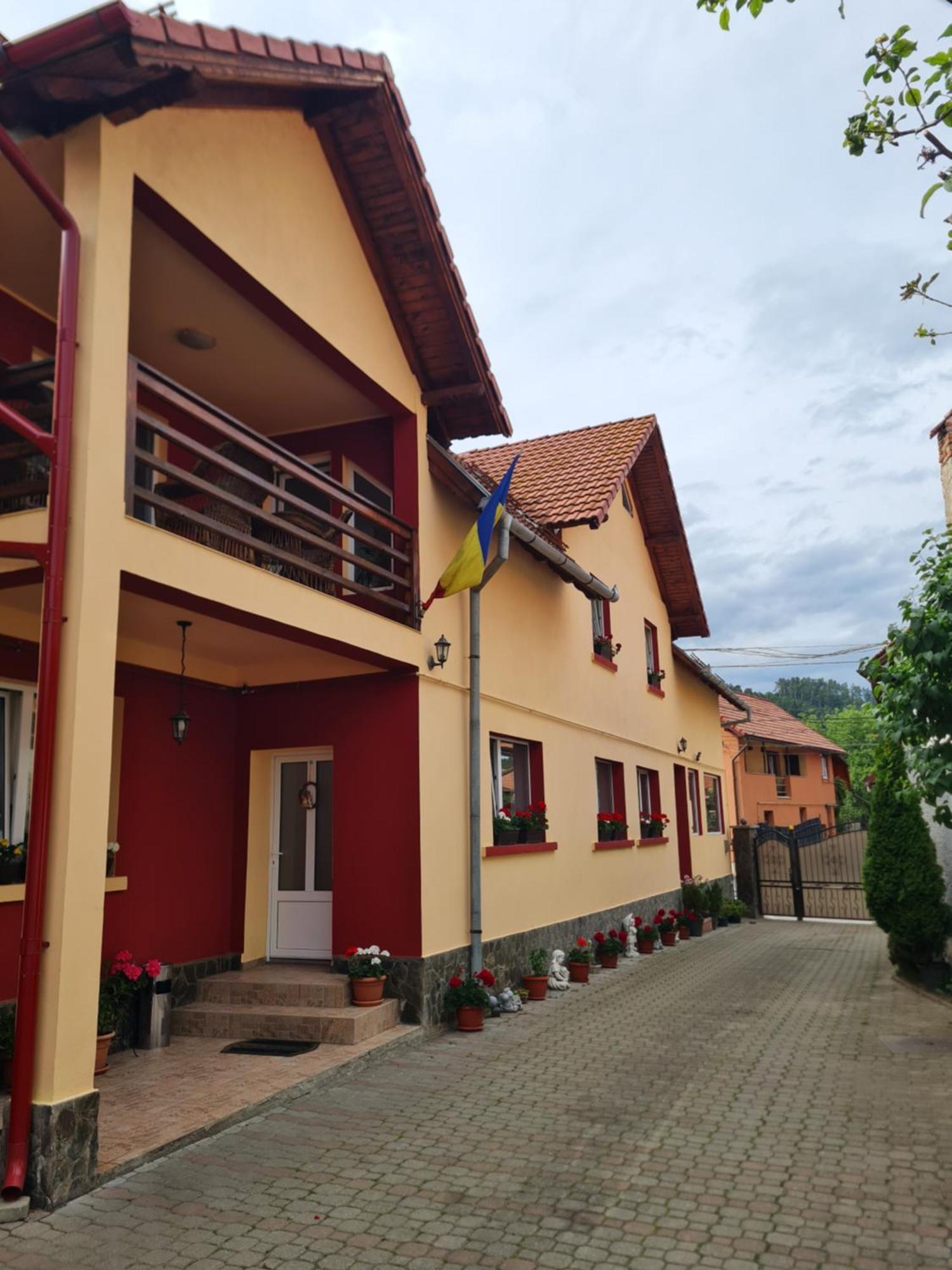 Vila Vladut เซอร์เนช ภายนอก รูปภาพ